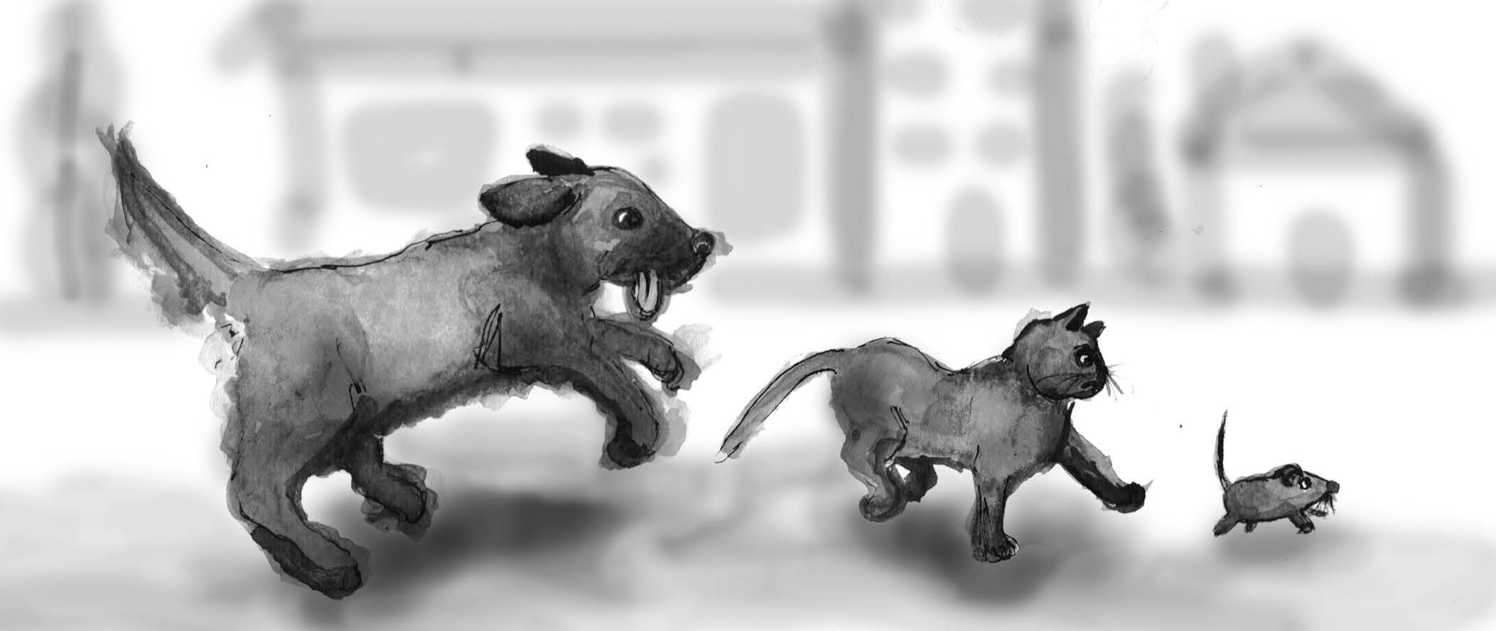 Why Dogs Chase Cats and Cats Chase Mice (medium)