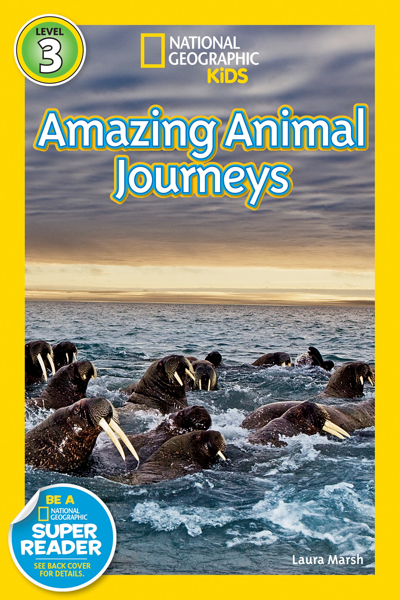 amazing journeys reviews