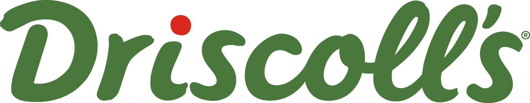 The Driscoll's logo in a green cursive font with a red accent.