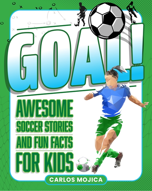 Goal book cover