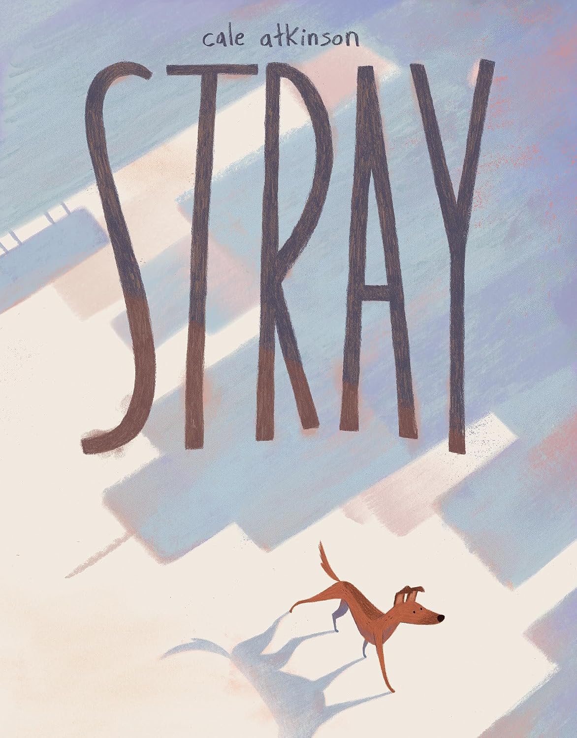Stray.jpg