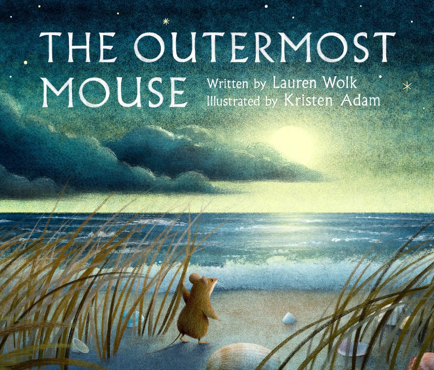 OutermostMouse.jpg