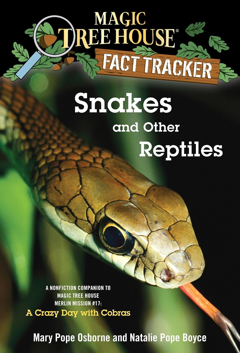 SnakesOtherReptiles.jpg
