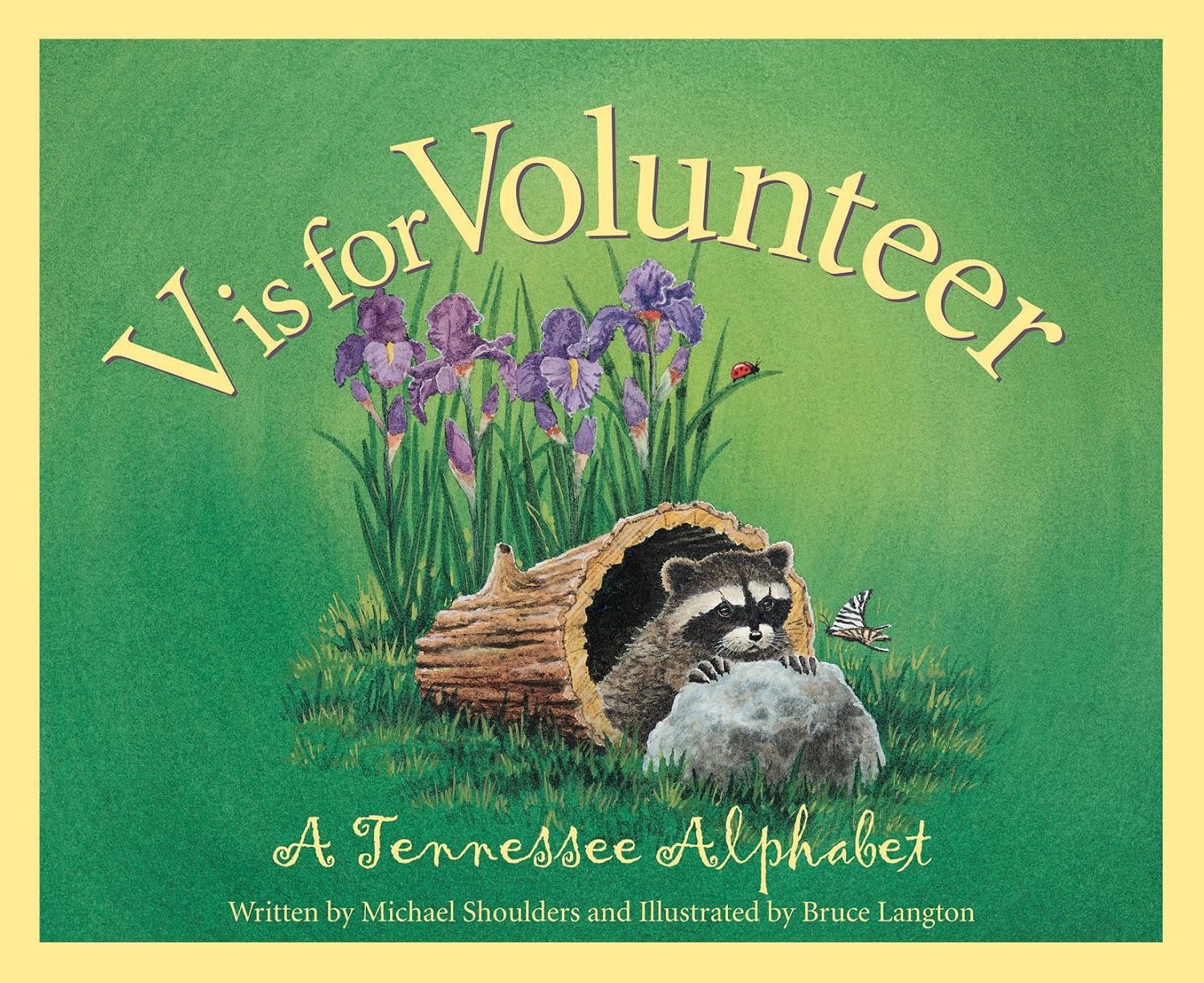 V volunteer book cover