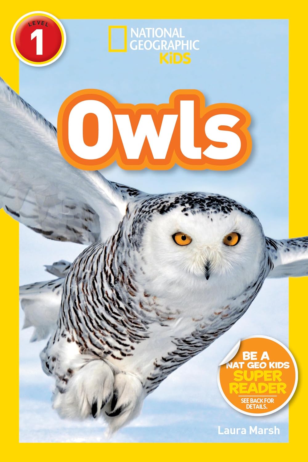 owls