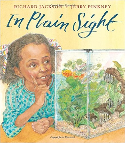 In Plain Sight: A Game by Richard Jackson