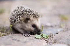 5124