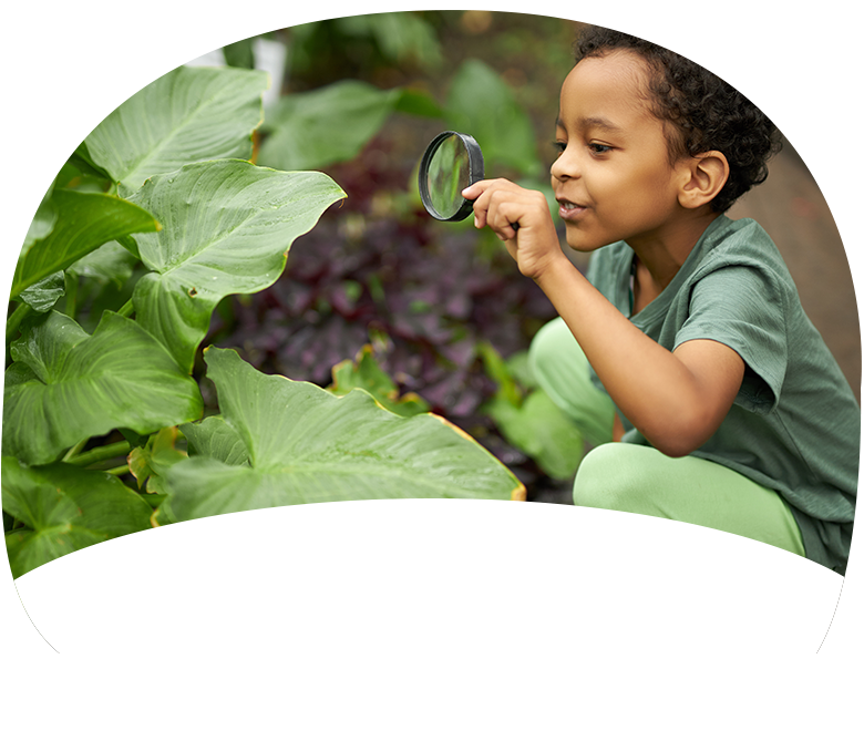 A young boy crouches by a large plant with a magnifying glass in his hand. 