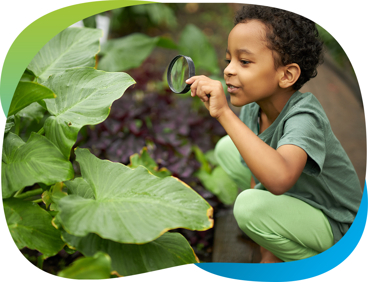 A young boy crouches by a large plant with a magnifying glass in his hand.
