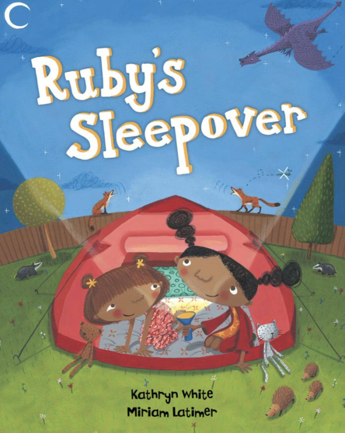 Ruby's Sleepover book cover