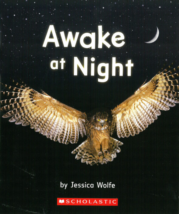 AwakeatNight.jpg