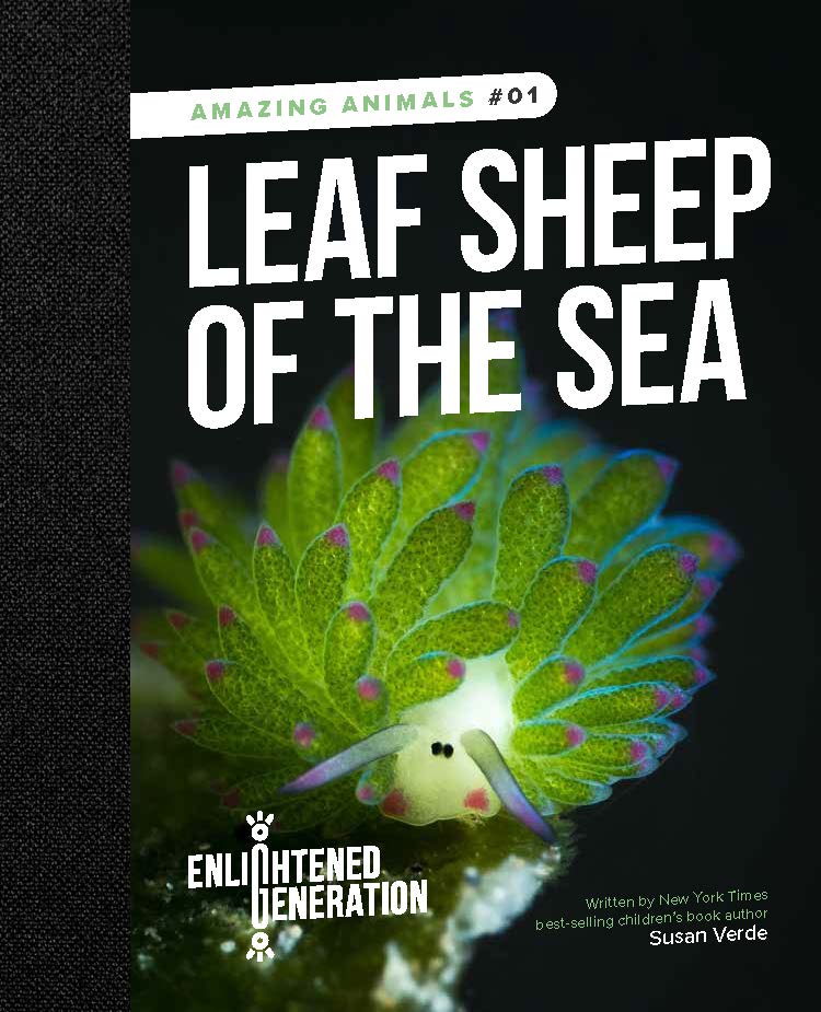 LeafSheepSea2.jpg